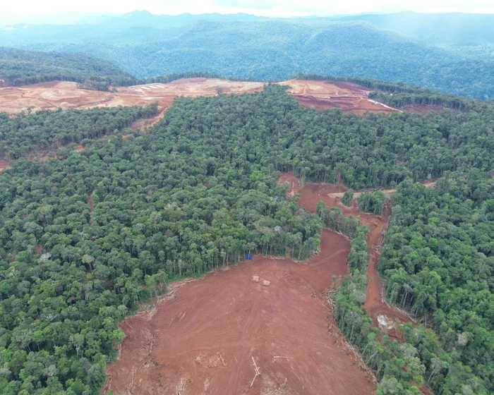 Volkswagen, Ford and Tesla linked to deforestation in Indonesian nickel mines Volkswagen, Ford and Tesla linked to deforestation in Indonesian nickel mines