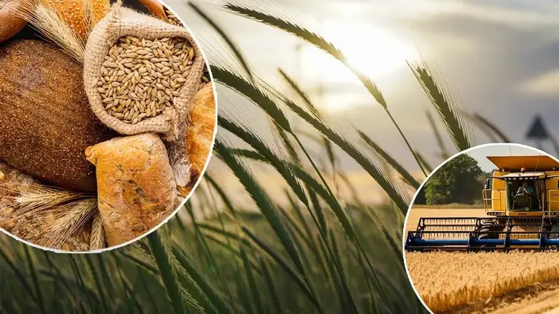 Kazakhstan Exports Wheat to 29 Countries Worth .6B Kazakhstan Exports Wheat to 29 Countries Worth .6B