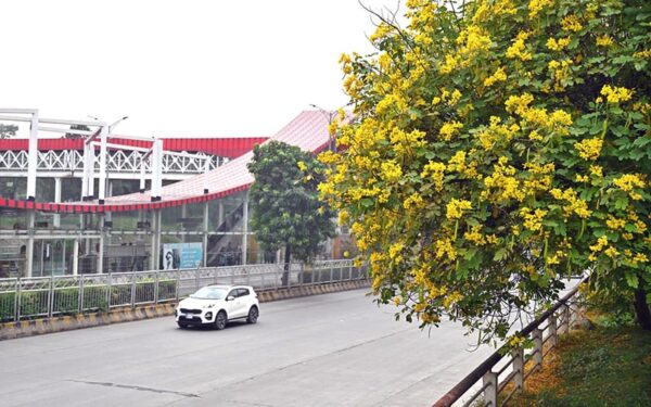Seasonal flowers beautify 9th Avenue