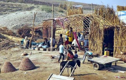 Pakhiwas: Nomadic Families Roaming South Punjab Pakhiwas: Nomadic Families Roaming South Punjab