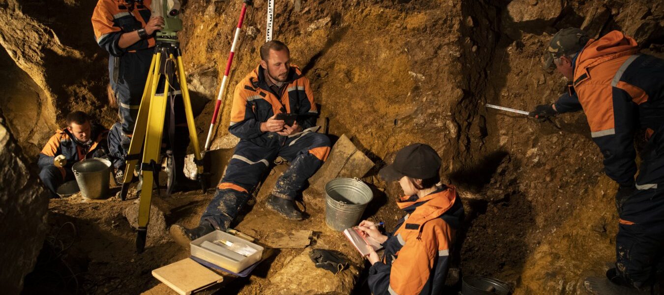 New extinct bovine species discovered in Siberian cave New extinct bovine species discovered in Siberian cave