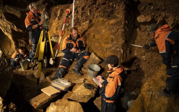 New extinct bovine species discovered in Siberian cave New extinct bovine species discovered in Siberian cave