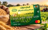Punjab Offers Incentives to Clear Kissan Card Debts Punjab Offers Incentives to Clear Kissan Card Debts