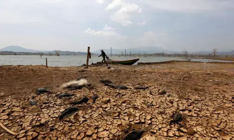El Nino to Intensify, Peak in December, Warns UN