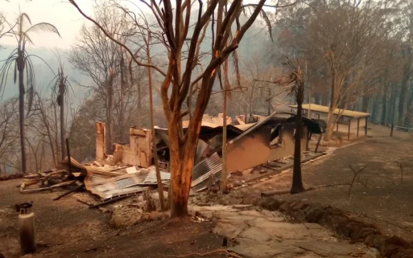 Most NSW homes destroyed in 2019-2020 bushfires within 100m of flammable vegetation