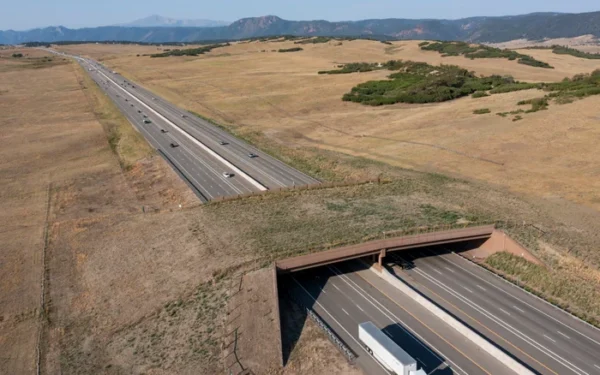 Colorado wildlife overpass reduces animal-vehicle collisions by 91% Colorado wildlife overpass reduces animal-vehicle collisions by 91%