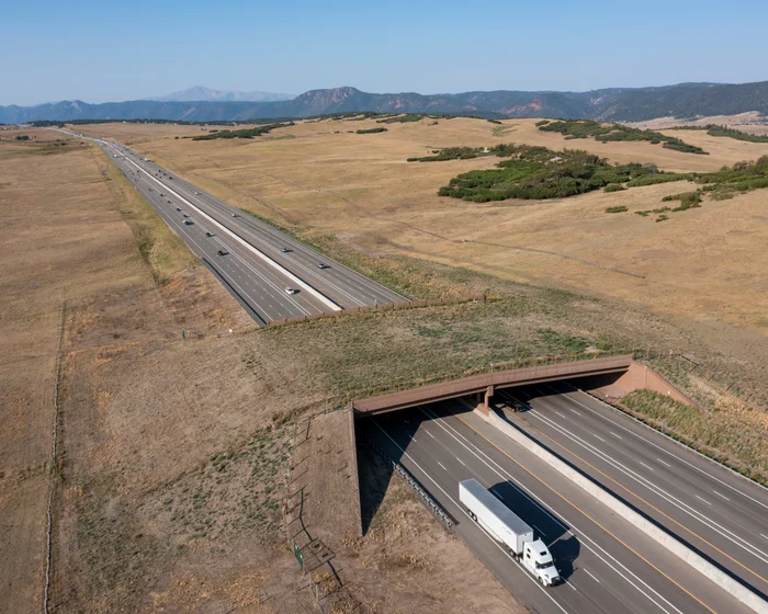 Colorado wildlife overpass reduces animal-vehicle collisions by 91% Colorado wildlife overpass reduces animal-vehicle collisions by 91%