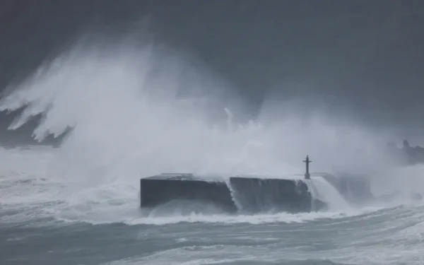 Typhoon Champi prompts Taiwan shutdown, thousands of flights cancelled Typhoon Champi prompts Taiwan shutdown, thousands of flights cancelled