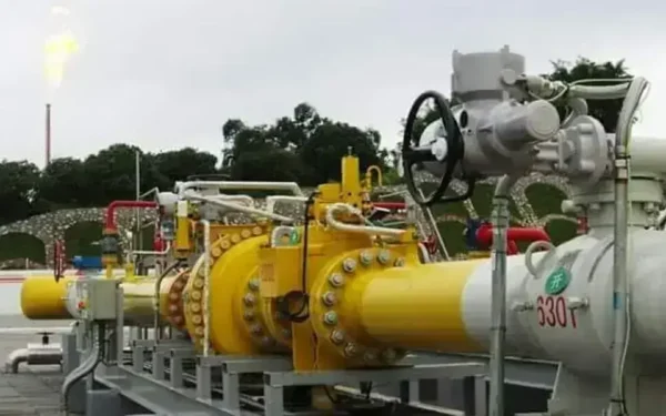 LDPL Urges Government for Gas Supply to 235MW Power Plant LDPL Urges Government for Gas Supply to 235MW Power Plant