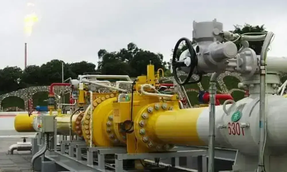 LDPL Urges Government for Gas Supply to 235MW Power Plant