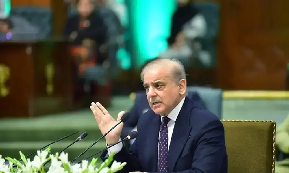 PM Urges Acceleration of Gemstone Sector Development PM Urges Acceleration of Gemstone Sector Development