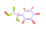 Chemistry Nobel Awarded for Breakthrough in Handedness Reactions Chemistry Nobel Awarded for Breakthrough in Handedness Reactions